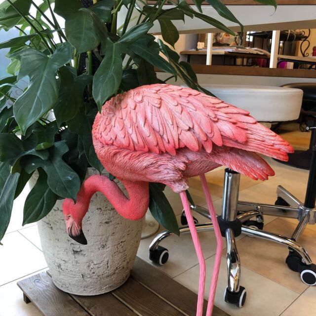 Beauty Resort Warp Diva ワープ ディーバ 美容室 まつげエクステ 練馬 大泉学園